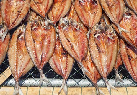 Stockfish