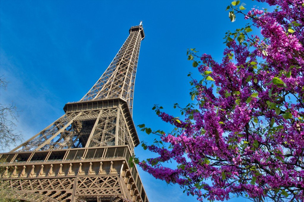 Photo credit: Zherui WU / Shutterstock