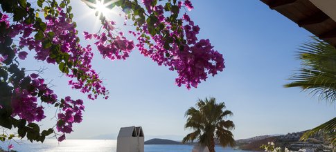 Bodrum Unterkunft