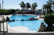 One bed apt. with terrific views in pool complex.
