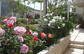 Gallery_thumb2