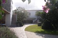 Lemongarden