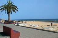 Apartment near the beach