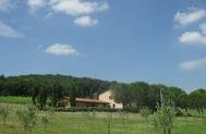 Agriturismo Podere Mulinaccio