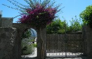 Winegarden
