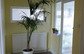 Room 1 - to let daily, weekly or monthly– landing