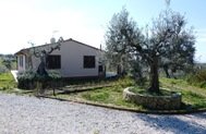 ITA1701 APPARTAMENTO ULIVI