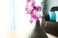 Apartamento Páteo Vicente