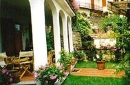 Casa con giardino in uliveto toscano