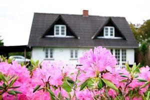 Hejlsminde, ground floor, 4 bedrooms