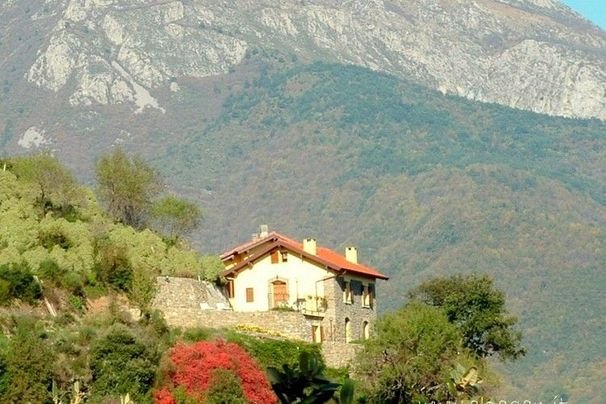 il Riccio